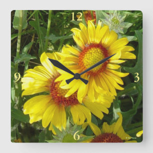 F6 Gelbe Wildblumen Gaillardia Quadratische Wanduhr