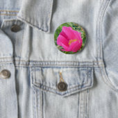 F7 Alberta Wild Rose Button (Beispiel)
