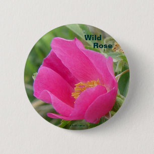 F7 Alberta Wilde Rose Button