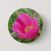 F7 Alberta wilde Rose Button (Vorderseite)