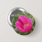 F7 Alberta wilde Rose Button (Vorne & Hinten)
