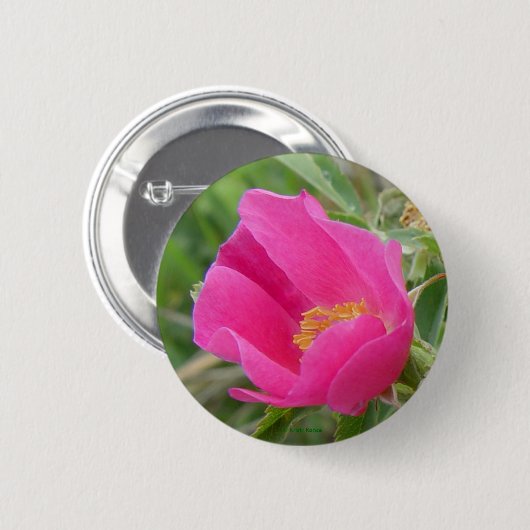 F7 Alberta wilde Rose Button (Vorne & Hinten)