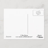 F7 Alberta Wilde Rose Postkarte (Rückseite)