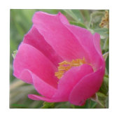 F7 Wilde Rose Fliese (Vorderseite)