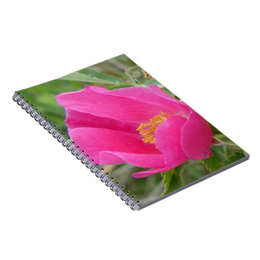 F7 Wilde Rose Hellrosa Blossum Notizblock (Rechte Seite)