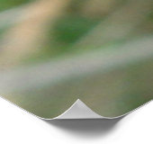 F7 Wilde Rose Hellrosa Blossum Poster (Ecke)