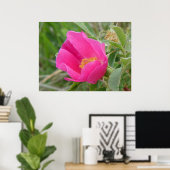 F7 Wilde Rose Hellrosa Blossum Poster (Heimbüro)