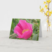F7 Wilde Rose Karte (Gelbe Blume)