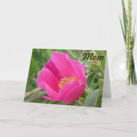F7 Wilde Rose Karte (Vorderseite)