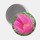 F7 Wilde Rose Magnet (Vorderseite/Rückseite)