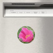 F7 Wilde Rose Magnet (In Situ (Geschirrspüler))