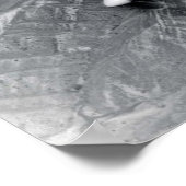 F82 Twin Mustang Poster (Ecke)