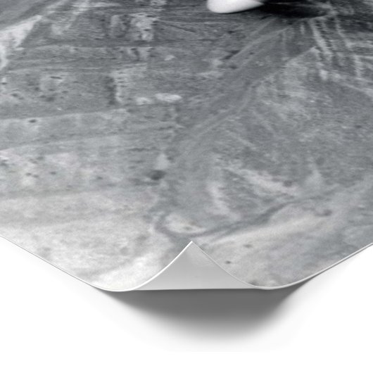 F82 Twin Mustang Poster (Ecke)