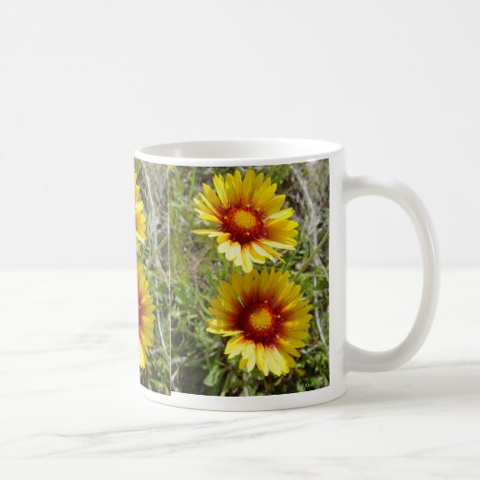 F8 Gelbe Wildblume Gaillardia Kaffeetasse (Rechts)