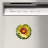 F8 Gelbe Wildblume Gaillardia Magnet (In Situ (Geschirrspüler))