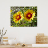 F8 Gelbe Wildblume Gaillardia Poster (Küche)