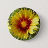 F8 Gelbe Wildblumen Gaillardia Button (Vorderseite)