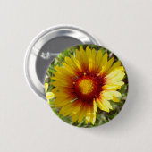 F8 Gelbe Wildblumen Gaillardia Button (Vorne & Hinten)