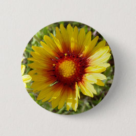 F8 Gelbe Wildblumen Gaillardia Button