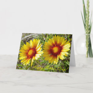 F8 Gelbe Wildblumen Gaillardia Karte