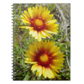 F8 Gelbe Wildblumen Gaillardia Notizblock (Vorderseite)
