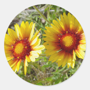 F8 Gelbe Wildblumen Gaillardia Runder Aufkleber