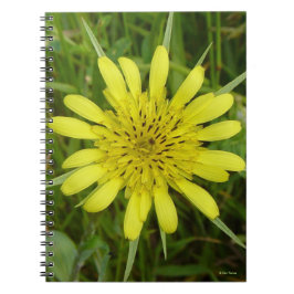 F9 Gelbe Wildblume Ziegenbart Tragopogon dubius Notizblock