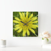 F9 Gelbe Wildblume Ziegenbart Tragopogon dubius Quadratische Wanduhr (Zuhause)