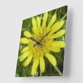 F9 Gelbe Wildblume Ziegenbart Tragopogon dubius Quadratische Wanduhr (Winkel)