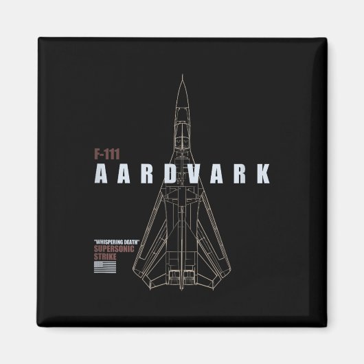 F-111 MAGNET (Vorne)