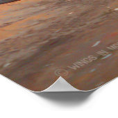 F-111F AARDVARK POSTER (Ecke)