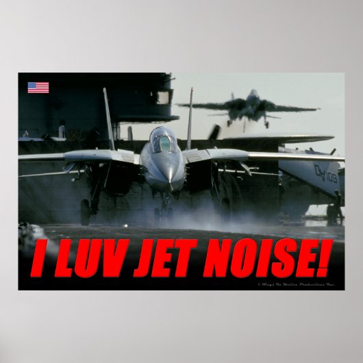 F-14 Jet Noise Poster (Vorne)