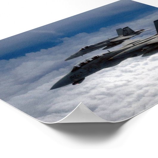 F-14 POSTER (Ecke)