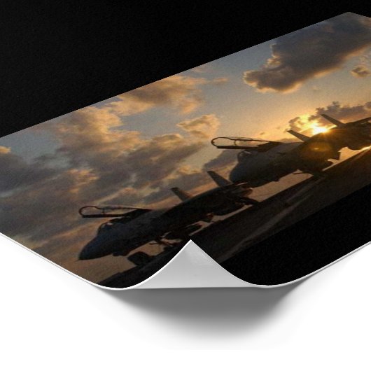 F-14 POSTER (Ecke)