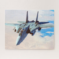 F-14 TOMCAT "DESERT PATROL" (16 x 20 Zoll)