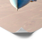 F-14 TOMCAT "DESERT PATROL" POSTER (Ecke)