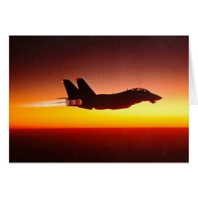 F-14 TOMCAT IN NACHBURNER (Vorderseite (Horizontal))