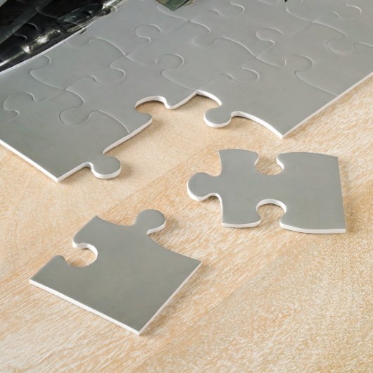 F-14 Tomcat Jet Fighter Puzzle (Seite)