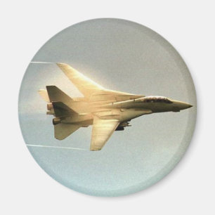 F-14 TOMCAT MIT DAMPF MAGNET