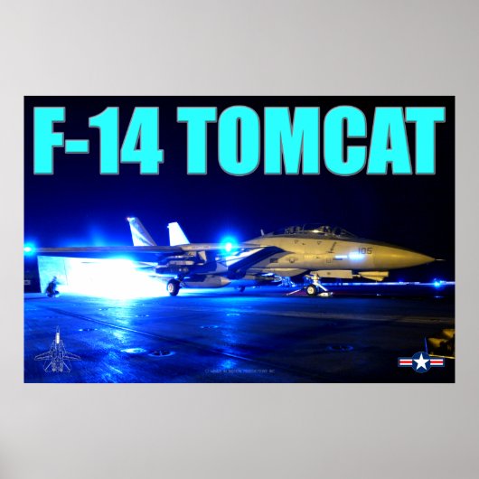 F-14 TOMCAT POSTER (Vorne)