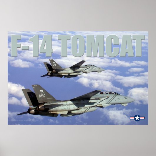 F-14 TOMCAT POSTER (Vorne)