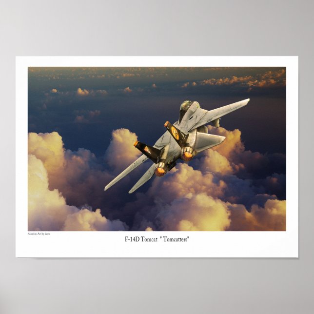 F-14 Tomcat Poster (Vorne)
