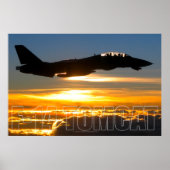 F-14 TOMCAT POSTER (Vorne)