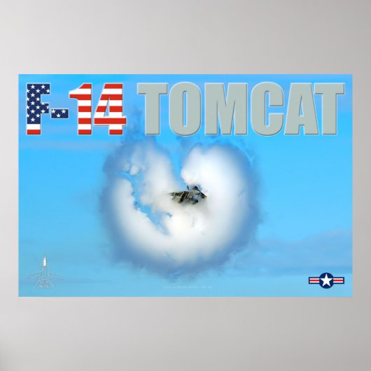 F-14 TOMCAT POSTER (Vorne)