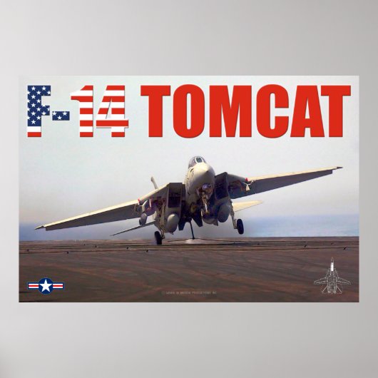 F-14 TOMCAT POSTER (Vorne)