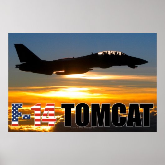 F-14 TOMCAT POSTER (Vorne)
