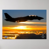 F-14 TOMCAT POSTER (Vorne)