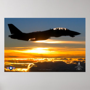 F-14 TOMCAT POSTER