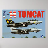 F-14 TOMCAT POSTER (Vorne)
