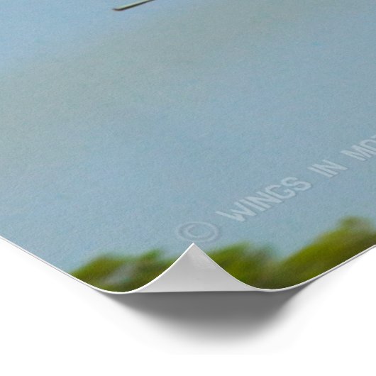 F-14 TOMCAT POSTER (Ecke)